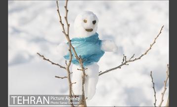 جشنواره مجسمه های برفی 6