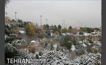 تهران سفید پوش شد 20