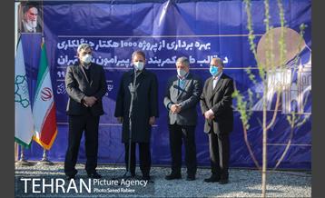 بازدید و افتتاح پروژه جنگل کاری 1000هکتاری در بوستان جنگلی تلو 22