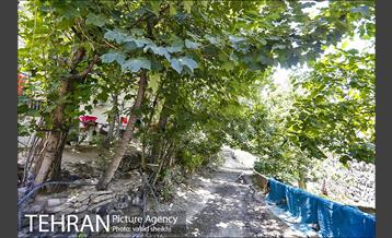 محله گلابدره تهران 19