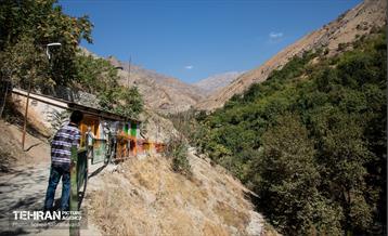 شهرنگار؛ درکه 13