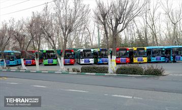 جشن درختکاری در منطقه 18 1