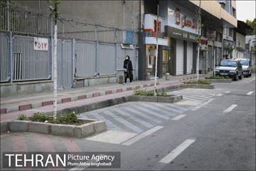 پارک خودرو‌ بین درختان چنار 22