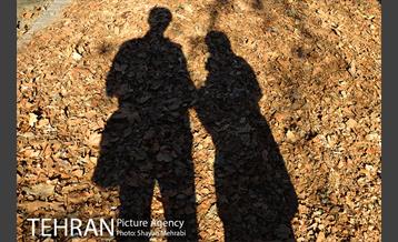 بوستان پلیس 14