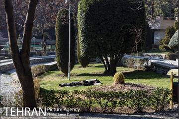 پارک ساعی 10