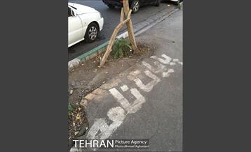 تجارت غیرقانونی "پایان نامه" 3