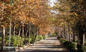 سمفونی رنگ های پاییزی - بوستان رازی 3