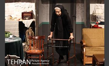 نمایش اثر پرتوهای گاما بر گل های همیشه بهار 9