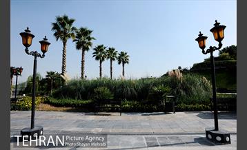 دریاچه و باغ هنر 8