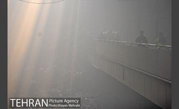 پنجشنبه ۳۰ دی ۱۳۹۵ 29