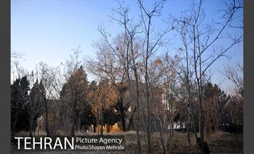 فراموش شدگان اداره منابع طبیعی در بوستان چیتگر 22