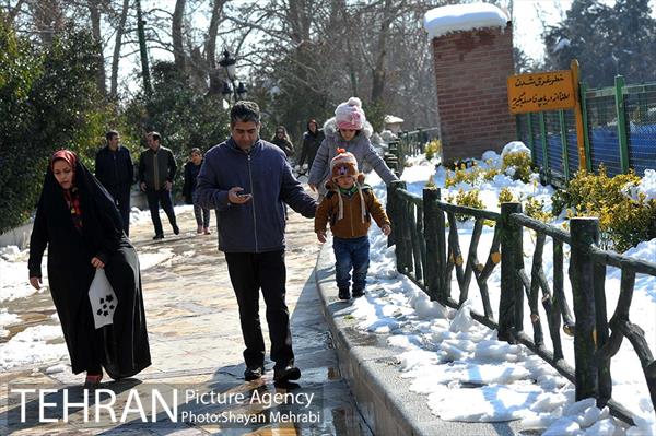 فصل زمستان در بوستان ملت 16