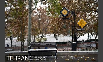 بارش برف پاییزی در تهران 5