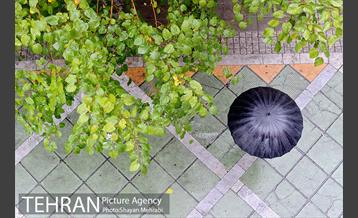 بارش باران پاییزی در تهران 23