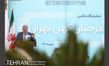 آیین نکوداشت درختان بالای صد سال تهران 16