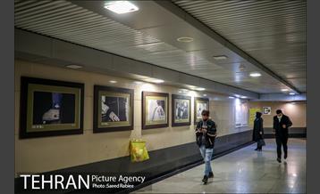 نمایشگاه عکس "عقیق سلیمانی" 10