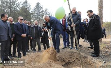 غرس ۲۷۸۲ نهال در سرخه‌حصار به یاد درگذشتگان جامعه پزشکی 21