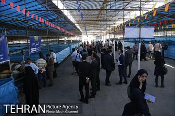 بازدید اصحاب رسانه از مراکز عرضه بهداشتی دام  16