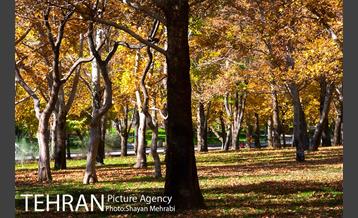 پاییز در پارک های تهران 5