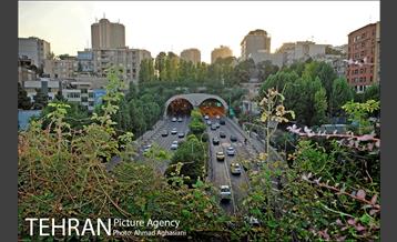 یوسف آباد، بی باغ و بی آسیاب 7