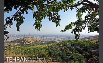 بوستان جنگلی لتمال کن 2