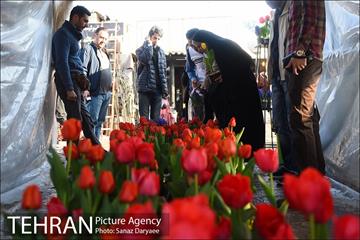بازار گل شهید محلاتی در آستانه نوروز 4