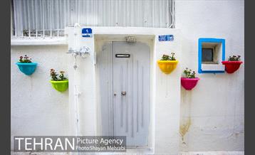 کوچه امیدی رنگ نوروز گرفت 30