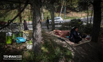 روز طبیعت در پارک ساعی و حاشیه اتوبان مدرس  51