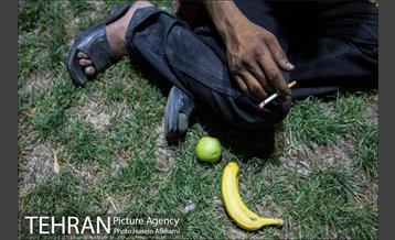 فعالیت مداوم جمعیت پردیس پایان کارتن خوابی‎ 10