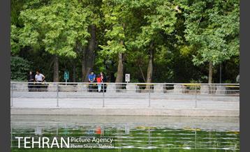 بوستان جمشیدیه 20