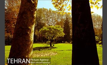 کاخ سعدآباد تهران 5