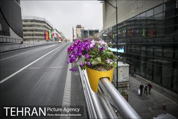 استقبال از بهار در خیابانهای تهران 9