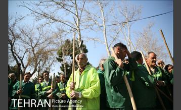 غرس نهال در بوستان بهاران 23