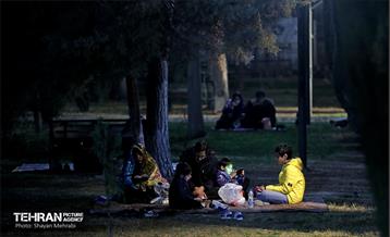 احیای شب 19 رمضان در دانشگاه تهران 30