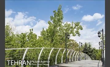 بوستان آزادگان 42