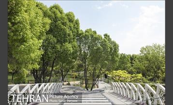 بوستان آزادگان 30