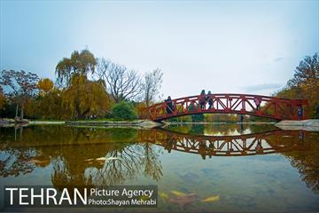 باغ گیاه‌شناسی ملی ایران 36