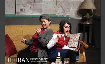 نمایش اثر پرتوهای گاما بر گل های همیشه بهار 10