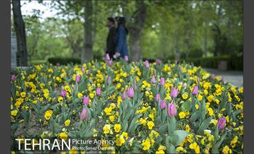 روز طبیعت بارانی در بوستان لاله 12