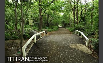 باغ گیاه‌شناسی ملی ایران 20