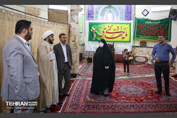 بازدید نرگس معدنی پور از منطقه 17