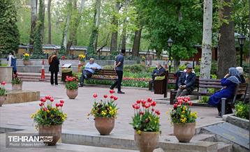 تور عکاسی از باغ ایرانی 27