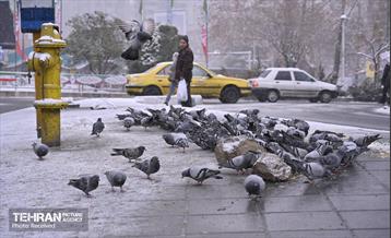 روز برفی تهران - 3 2