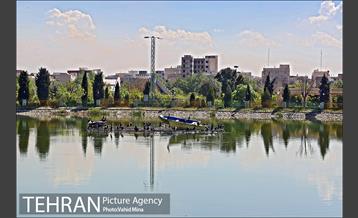 حضور پرندگان مهاجر در تهران 7