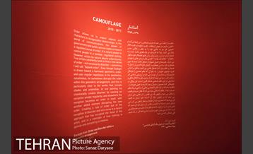 آثار علی‌اکبر صادقی در موزه هنرهای معاصر 12