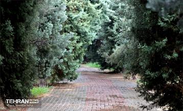 یک روز بارانی در منطقه 19 13