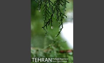 تهران بهاری 2