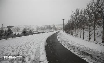 روز برفی تهران - 2 22