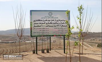 بهره‌برداری از فاز دوم طرح جنگلکاری کمربند سبز 16