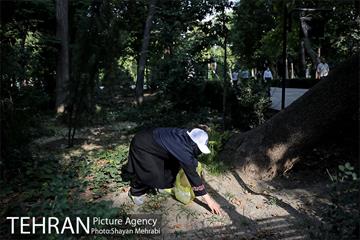 طرح پاکسازی پارک شهر تهران از فیلترهای سیگار  25